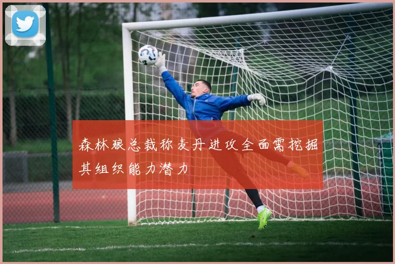 森林狼总裁称麦丹进攻全面需挖掘其组织能力潜力